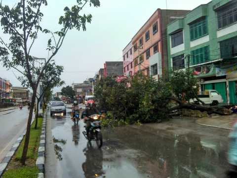 Jalan Sudirman Hampir Tertutup oleh Pohon Yang Tumbang Mengakibatkan Ruas Jalan Terganggu