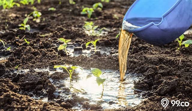Kukerta UNRI Bersama Ibu-Ibu PKK  Buat Pupuk Kompos Cair