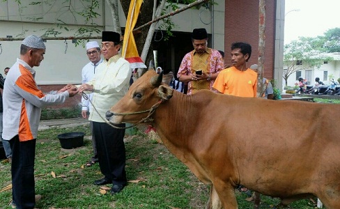 Bupati Inhil Serahkan Secara Simbolis Hewan Qurban Kepada Panitia