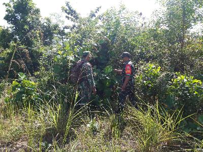 Walau Cuaca Tak Menentu, Babinsa Mandau Tetap Siaga Karhutla Disemak Belukar