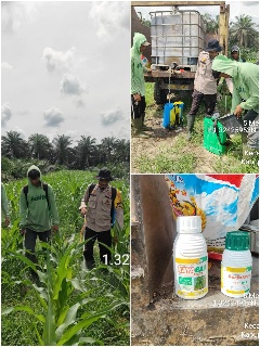 Fokus Perawatan dan Pengendalian Gulma, Polsek Mandau Lanjutkan Pengelolaan Lahan