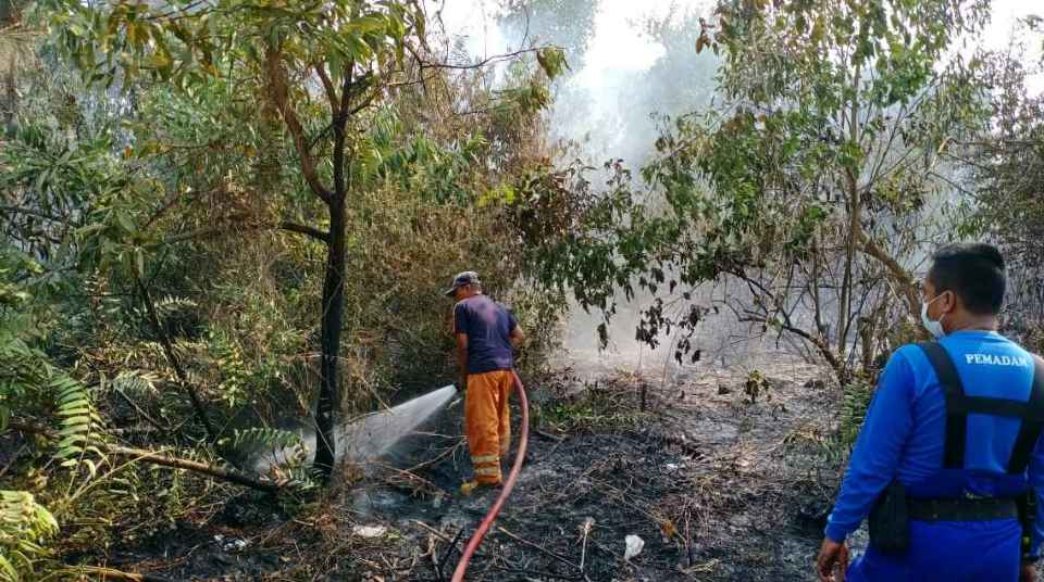 Asap Karhutlah Pekanbaru Semakin Pekat, Lahan Kebun di Binawidya Terbakar