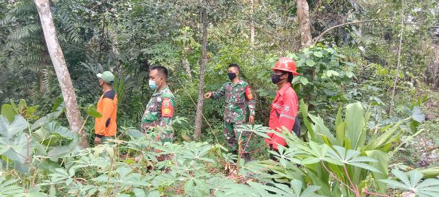 Guna Pencegahan Karhutla Diwilayah Binaanya Babinsa Lakukan Pengecekan Titik Api