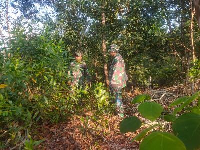 Babinsa Koramil 03/Mandau Telusuri Semak Belukar di Wilayah Binaannya