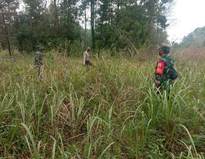 Tak Surutkan Niat,, Babinsa Lakukan Monitoring Karhutla