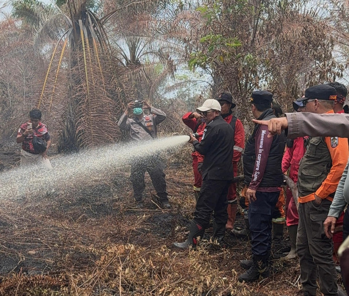 Bupati Pelalawan Zukri Turun Langsung, Pimpin Patroli Udara Tinjau Karhutla di Lahan