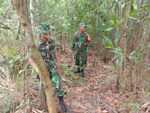 Tim Satgas Babinsa Koramil 03/Mandau Lakukan Penelusuran Karhutla di Wilayah Binaannya