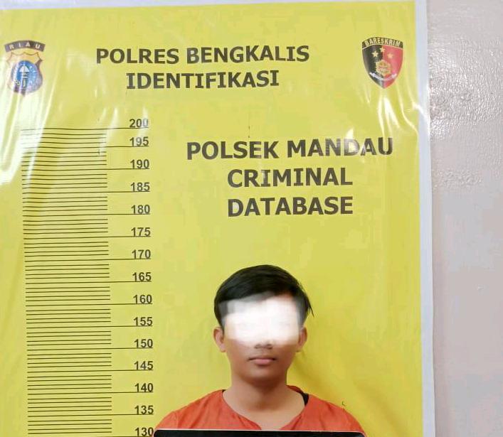 Edan..! Akibat Cabuli Bocah Lelaki, Pemuda Tanggung Berurusan Dengan Polisi Mandau