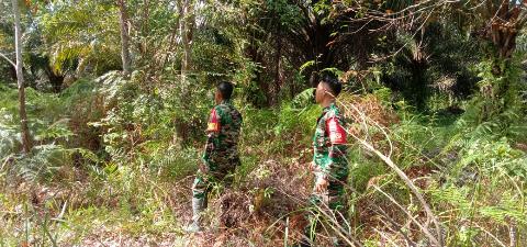 Babinsa Koramil 03/Mandau Laksanakan Giat Penanganan Karhutla di Wilayah Binaannya