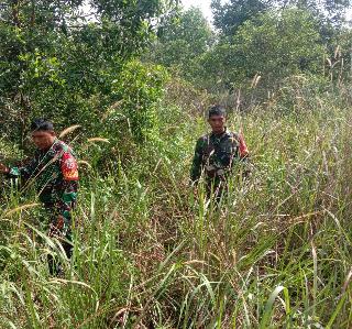 Babinsa Mandau Tetap Siaga Karhutla Walau Cuaca Tak Menentu