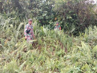 Babinsa Koramil 03/Mandau Lakukan Penyisiran di Titik Rawan Api Guna Antisipasi Karhutla