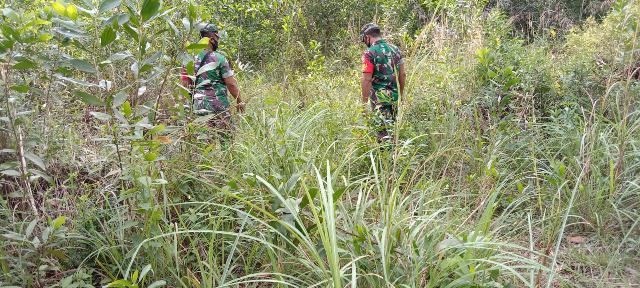 TNI Koramil 03/Mandau Lakukan Pemantauan Karhutla di Desa Beringin