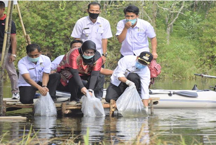 Faperta UIR Tebar Bibit Ikan di Danau Tiga Mata Air Kuansing