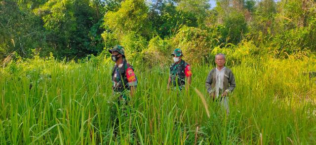 Babinsa Susuri Semak Belukar Rangka Cegah Karhutla