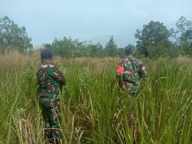 Koramil 03/Mandau Lakukan Monitoring Karhutla Di Desa Air Kulim
