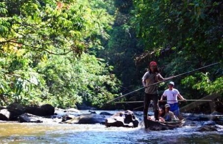 Bercengkrama Dengan Alam di Taman Nasional Bukit Tigapuluh