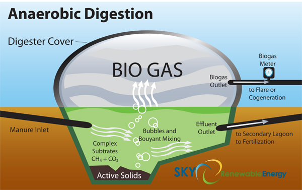 BIOGAS: Mengolah Limbah Jadi Berkah Turning Waste Into Benefit
