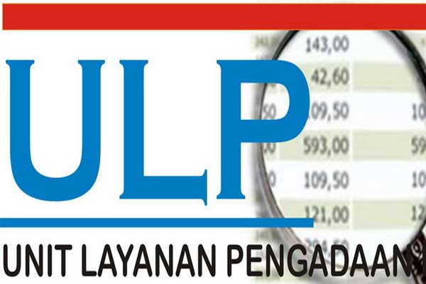 Ini Salah Satu Penyebab Lelang APBD 2016 Pelalawan Belum Di Dimulai