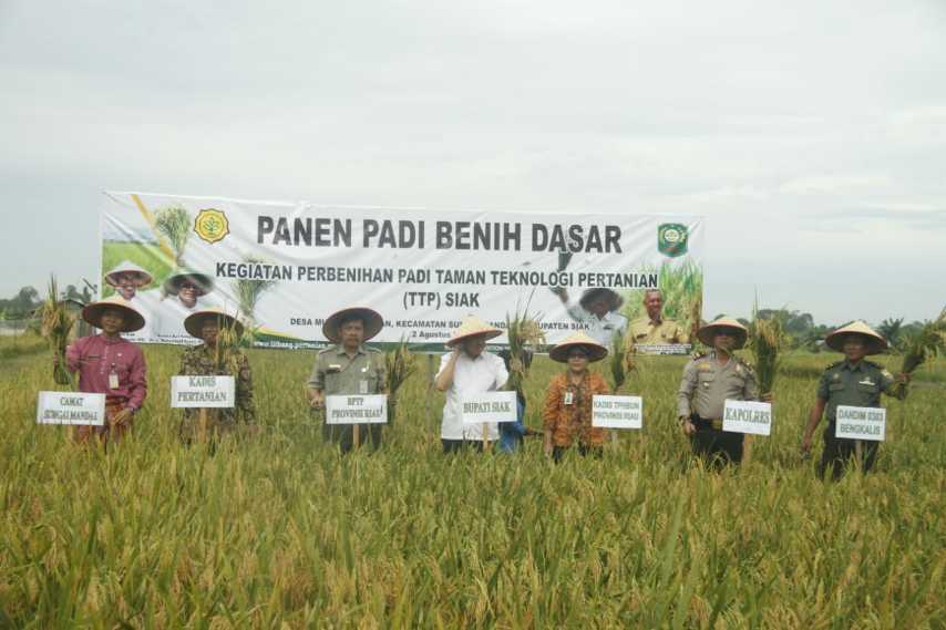 Hadirnya TPP Bisa Mengubah Minset Petani Siak dalam Ahli Fungsi Lahan