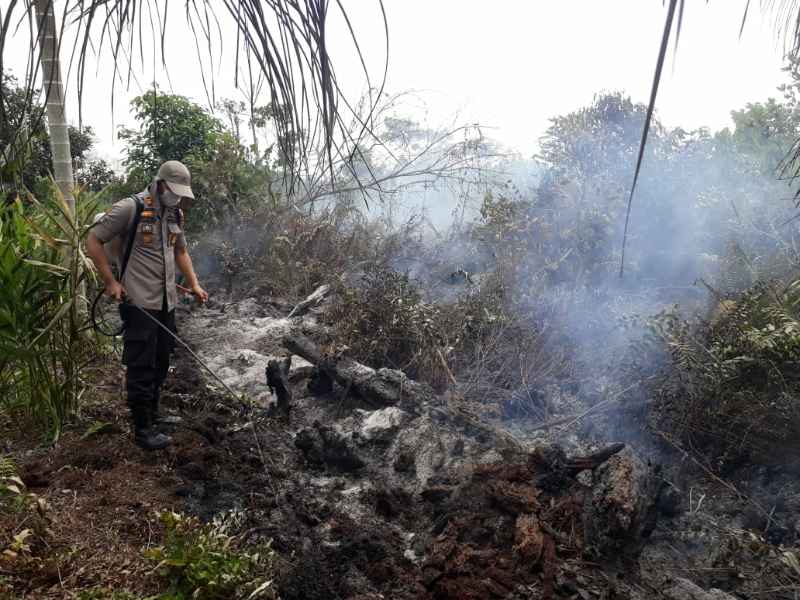 Api Karhutla Nyaris Menjalar Ke Pemukiman Warga Setempat