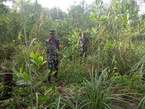 Tak Pernah Surut Semangat Babinsa 03/Mandau Dalam Penanganan Karhutla di Terik Panas Matahari