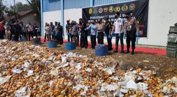 Bea Cukai Dumai Musnahkan 1.196 Keranjang Mangga Ilegal dari Malaysia.