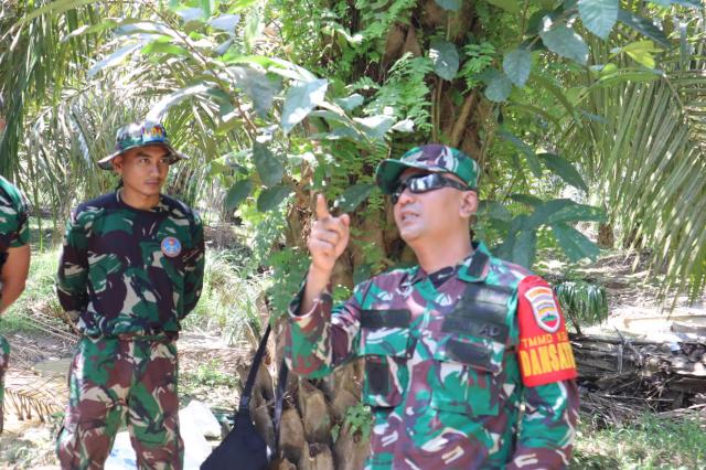 Pangdam I/Bukit Barisan Akan Tinjau Lokasi TMMD 113 Desa Muara Basung