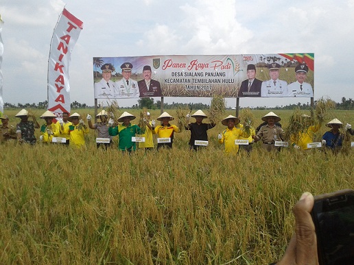 Bupati Wardan Buka Panen Raya Desa Sialang Panjang