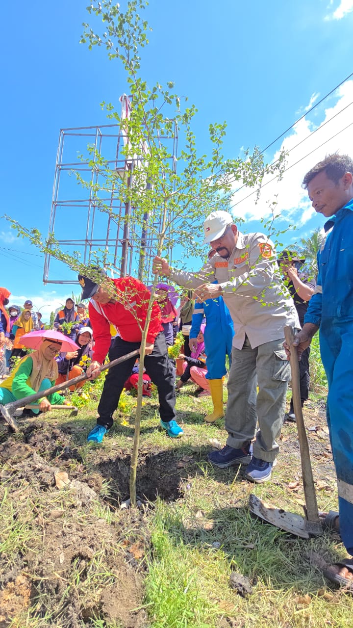 Pemkab Rohil Tanam Pohon Ketapang 100 Batang