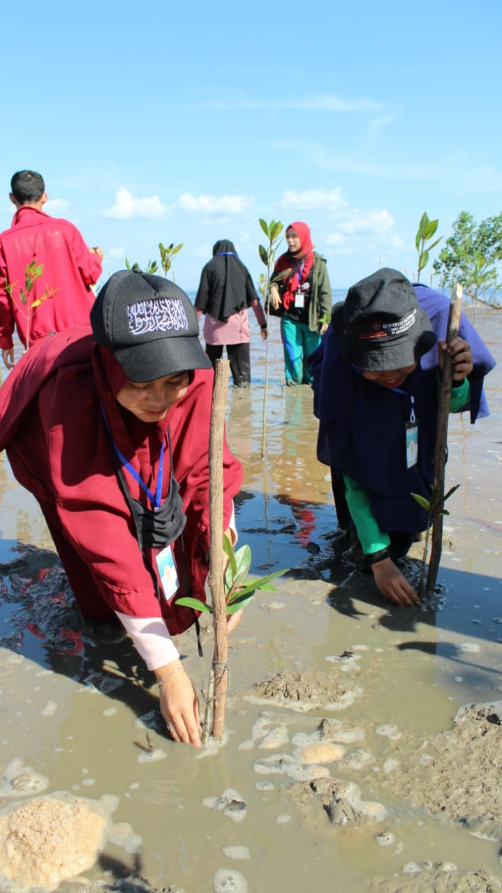 Mahasiswa UNRI Tanam Manggrove Di Desa Pangkalan Jambi