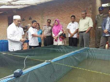 Syamsuar: Budidaya Ikan Lele Bioflok Bisa Dikembangkan ke Setiap Kampung