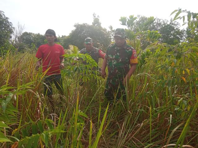 Babinsa Mandau Lakukan Penanganan Karhutla dan Sisir Titik Rawan Api
