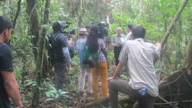 Leonardo DiCaprio Liburan ke Aceh Lihat Orangutan