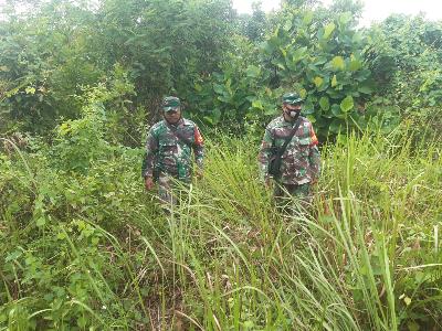 TNI Koramil 03/Mandau Lakukan Pencegahan dan Penanggulangan Karhutla