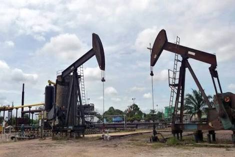 LAM Riau Tak Restui Pertamina Kelola Blok Rokan
