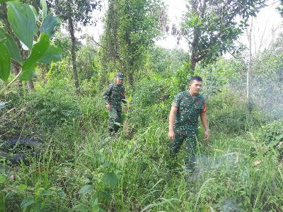 Guna Penanganan Karhutla, Babinsa Siaga di Wilayah Dampak Kebakaran Saat Musim Kemarau