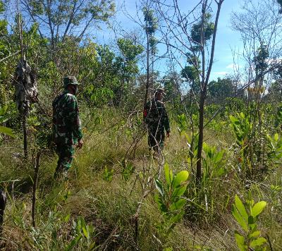 Babinsa Mandau Siaga Karhutla di Titik Rawan Api Dari Desa Sebangar Menuju Desa Kesumbo Ampai