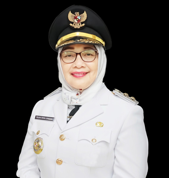 Hj. Ellya Rosa Siregar Resmi Menjadi Plt Bupati Labuhanbatu