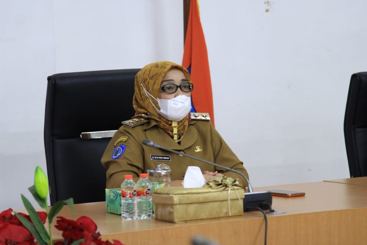 Wakil Bupati Labuhanbatu Ikuti Langsung Vidcond Bersama Presiden RI