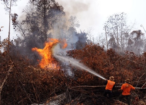 11 Hotspot Terdeteksi Di Kabupaten Bengkalis