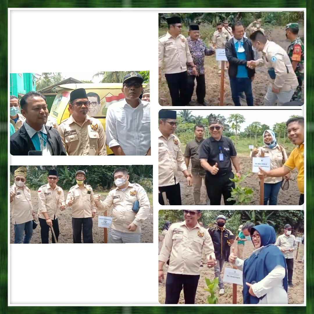 Ulangi Kesuksesan MAPEL Riau Kembali Tanam 1000 Bibit Pohon & Resmikan Bank Sampah Kel. Agrowisata