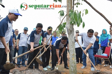 Pemprov Kepri Bersama Bank Riau Kepri Tanam 1000 Pohon Angsana