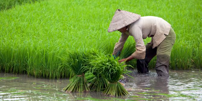 NTP Provinsi Riau Naik 0,56 Persen di Maret 2016