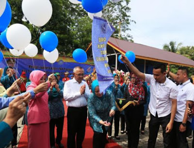 Peran PKK Riau dalam peningkatan kesejahteraan rumah tangga Perlindungan perempuan dan anak