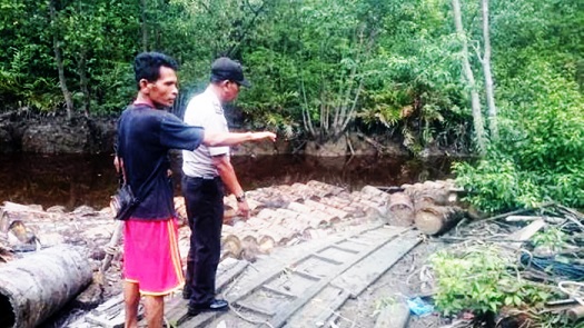 Buaya Mengganas di Sungai Bangsal Sagu Desa Sungai Tohor