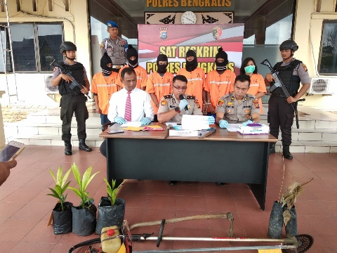 6 Orang Kasus Karhutla Telah Ditetapkan Polres Bengkalis Sebagai Tersangka