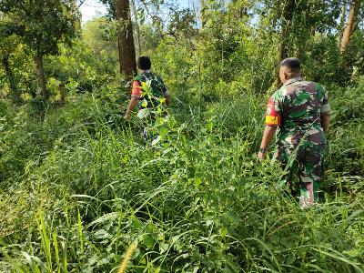 Babinsa Koramil 03/Mandau Telusuri Semak Belukar Guna Antisipasi Kebakaran Lahan dan Hutan