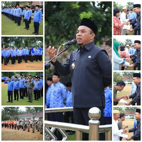 Plt Bupati Labuhanbatu Peringati Hari Kesadaran Nasional HKN