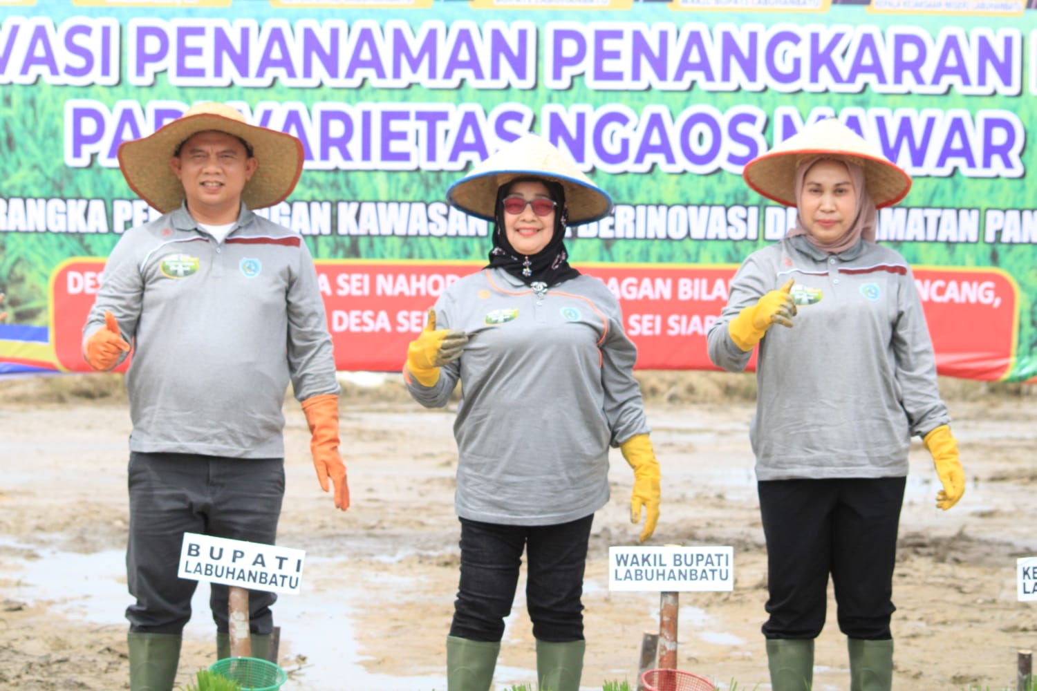 Pemkab Labuhanbatu Rencanakan Pembangunan Desa Inovatif Swasembada Pangan