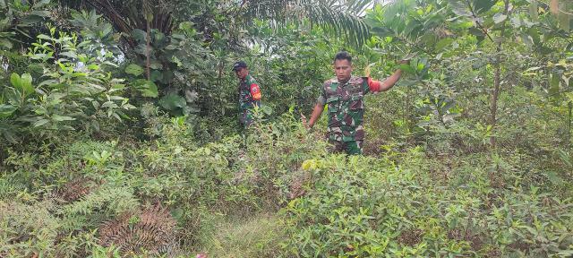 Babinsa Koramil/03 Mandau Laksanakan Penanganan Karhutla dan Lakukan Edukasi Kepada Masyarakat